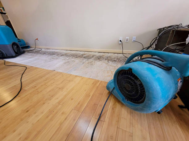 Professional Water Removal technician working in Washington Grove, MD